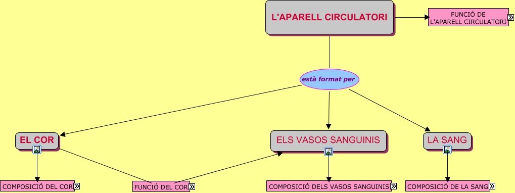 2.1.MAPA CONCEPTUAL DE L'APARELL CIRCULATORI